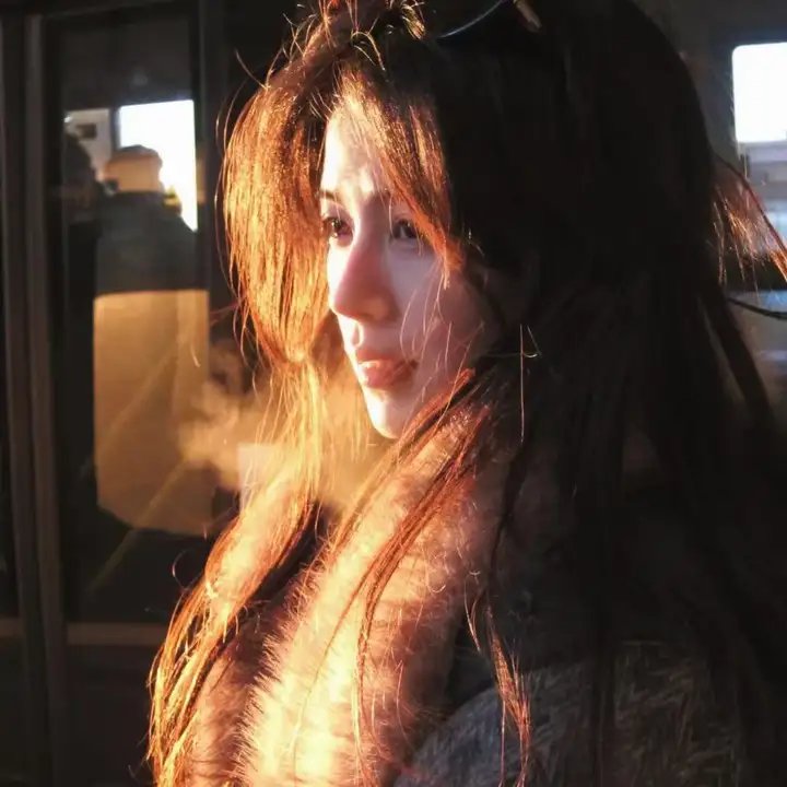 雪原孤军